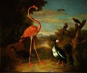 Jakob Bogdani Flamingo and Other Birds in a Landscape oil painting reproduction